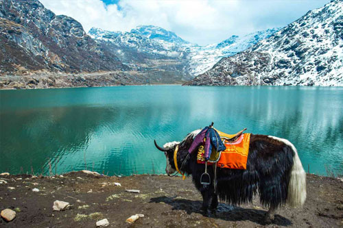 Meghalaya